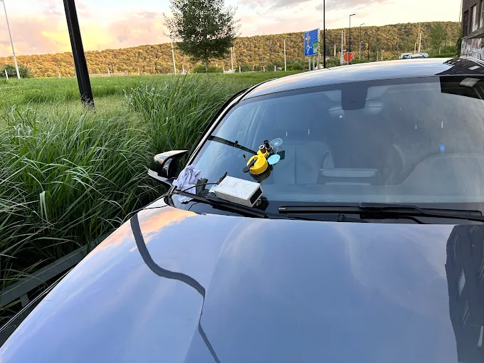 Intervention Pare-Brise Impact